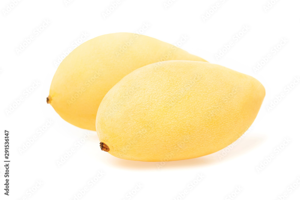 Closeup image of two fresh thai mango isolated at white background.