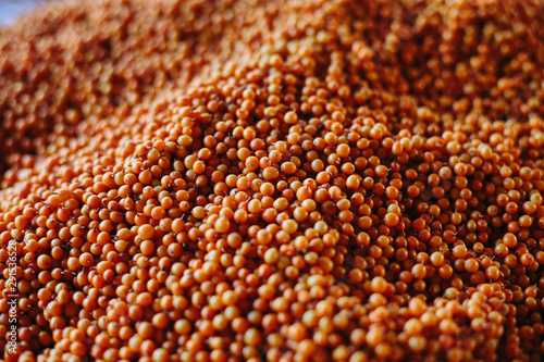 A lot of sea buckthorn berries. Close-up. Background. Texture. Agriculture