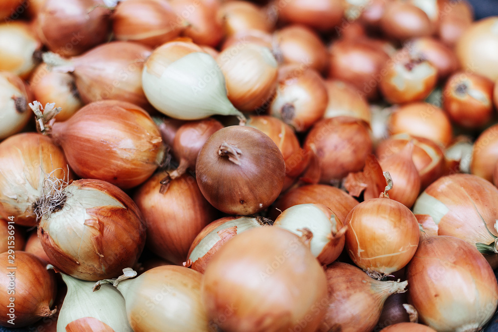 Fresh onions. Onions background. Ripe onions. Onions in market. Organic farmer food