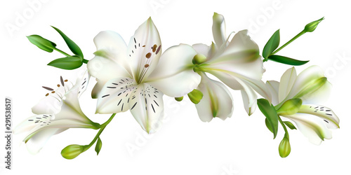 Canvastavla White flowers. Floral background. Leaves. Lilies.