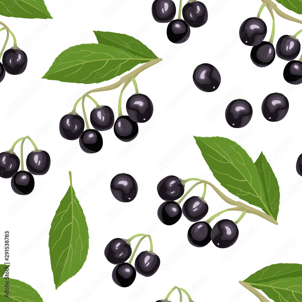 Maqui berry seamless pattern on white background. Branch of fresh healthy berries and green leaves. Vector illustration of superfood in cartoon flat style. Aristotelia chilensis or Chilean wineberry. Maqui berry seamless pattern on white background. Branch of fresh healthy berries and green leaves. Vector illustration of superfood in cartoon flat style. Aristotelia chilensis or Chilean wineberry.