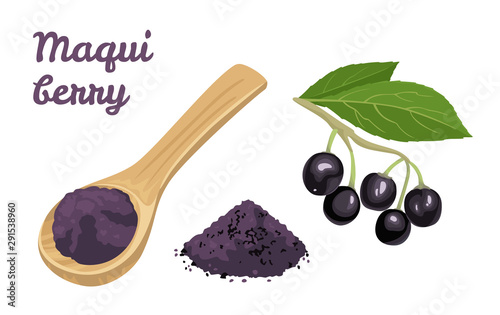 Maqui berry powder in wooden spoon isolated on white background. Maqui berry branch with green leaves and heap of powder.