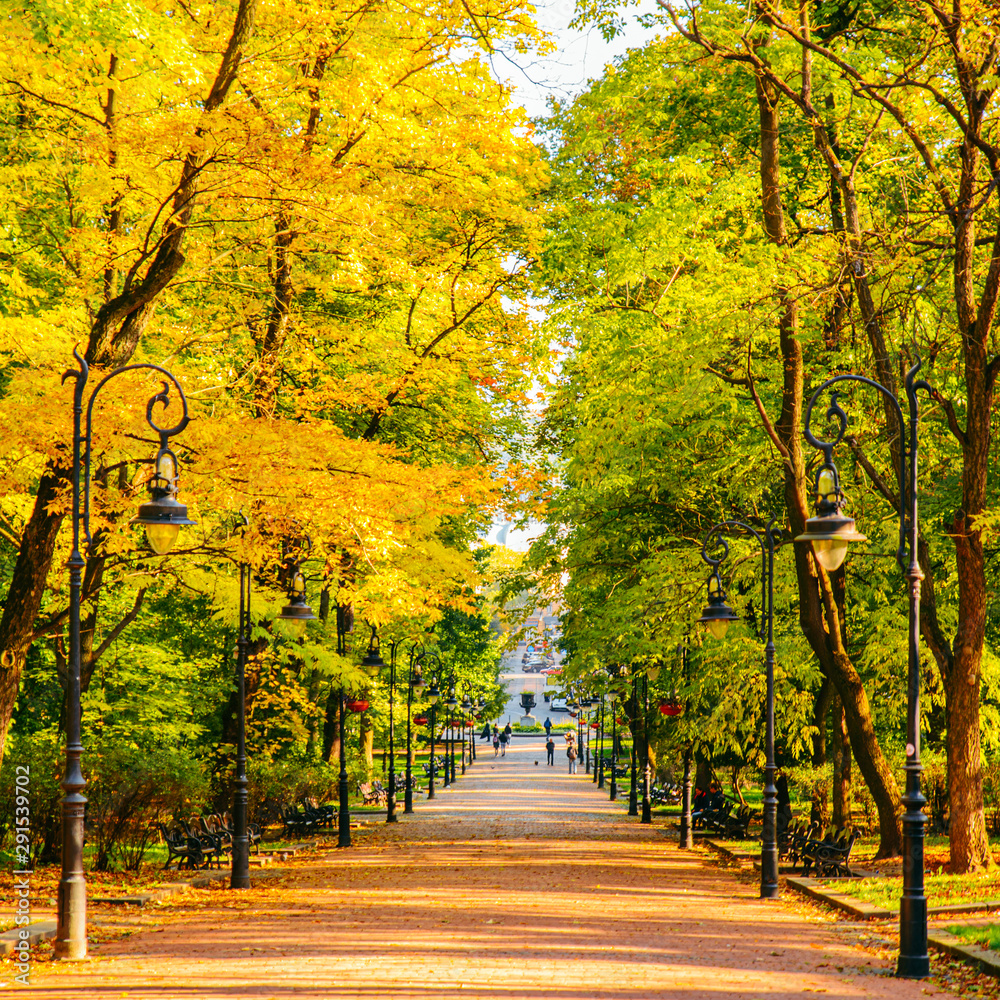 autumn is coming view of city park with yellow and green trees