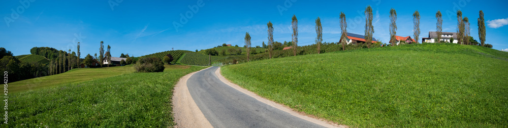 Weinberge in der Südsteiermark im Spätsommer