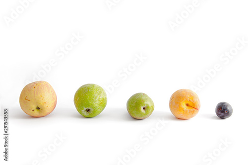 Apples, pears, plums and peaches lie in a row on a white background. Fruit on a white background. Background of fruits.