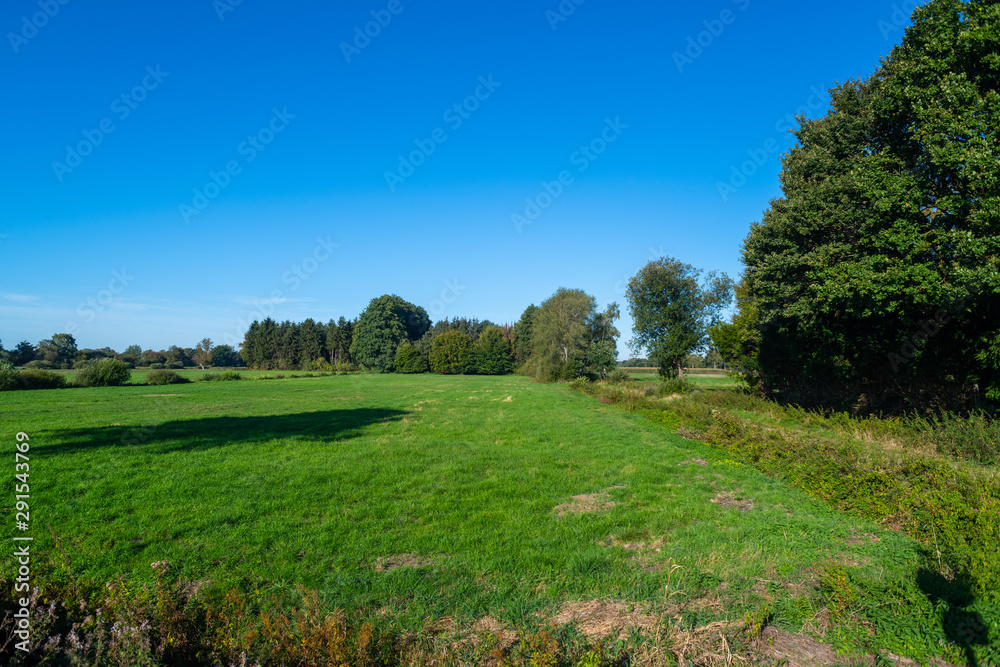 a walk through nature  and the fields in the blue sky and bright sunshine