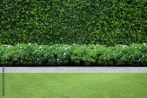 Tree hedges, double layers (two steps);  small and tall hedges. photo