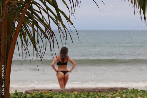 Tropical beach, sexy woman in thong bikini standing on a sea coast. Rear view through palm leaves, selective focus. Summer leisure, tan and relax on a paradise nature