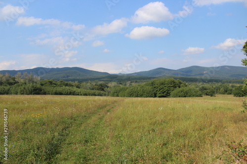 landscape in the mountains