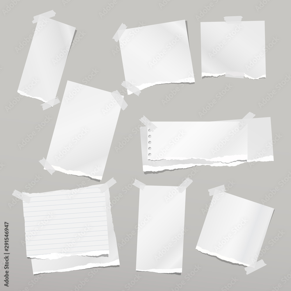 custom made wallpaper toronto digitalTorn white note, notebook paper strips stuck with sticky tape on grey background. Vector illustration
