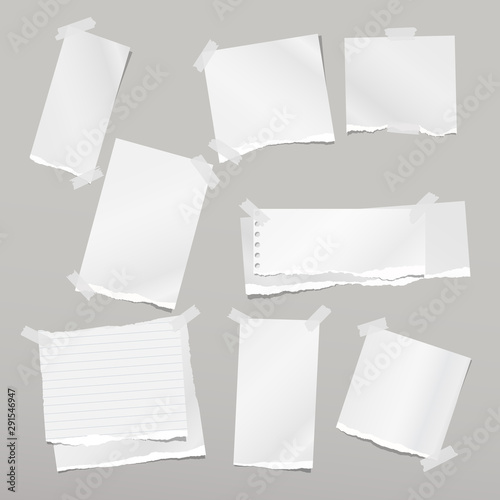 Wallpaper Mural Torn white note, notebook paper strips stuck with sticky tape on grey background. Vector illustration Torontodigital.ca