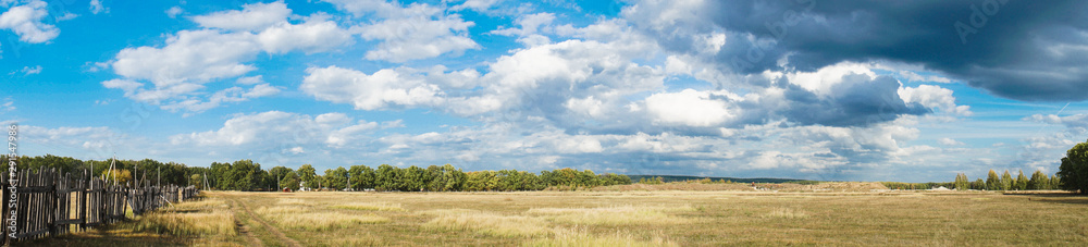 panorama of the summer landscape in the field