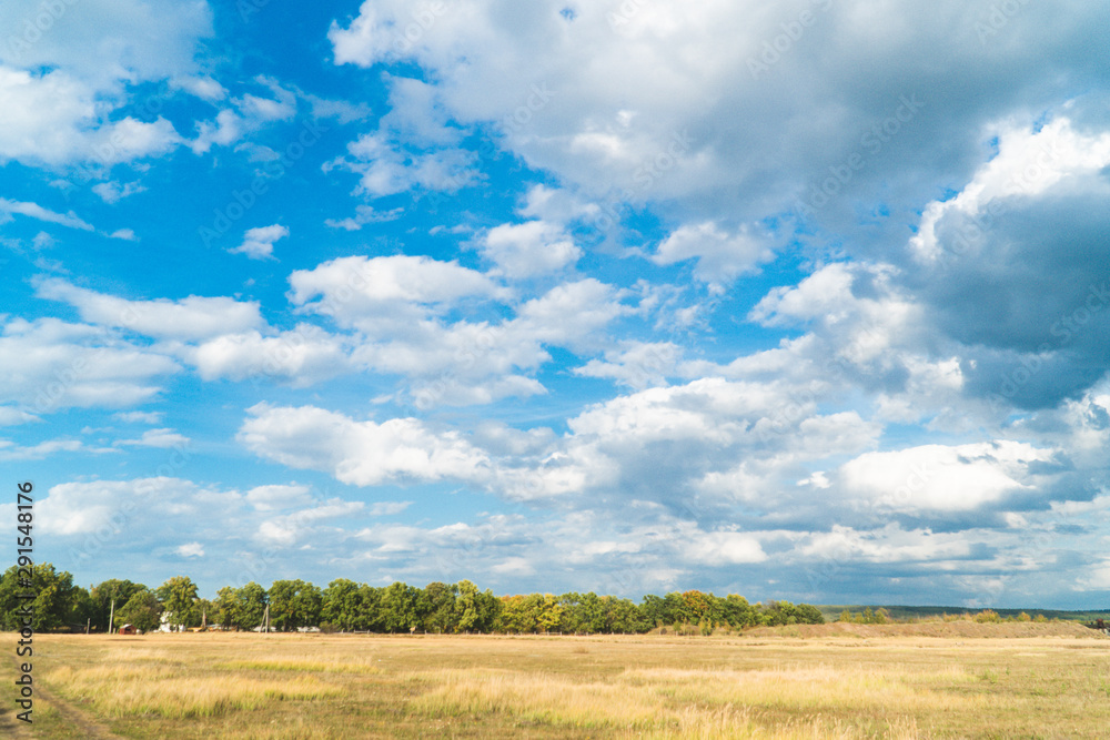 panorama of the summer landscape in the field