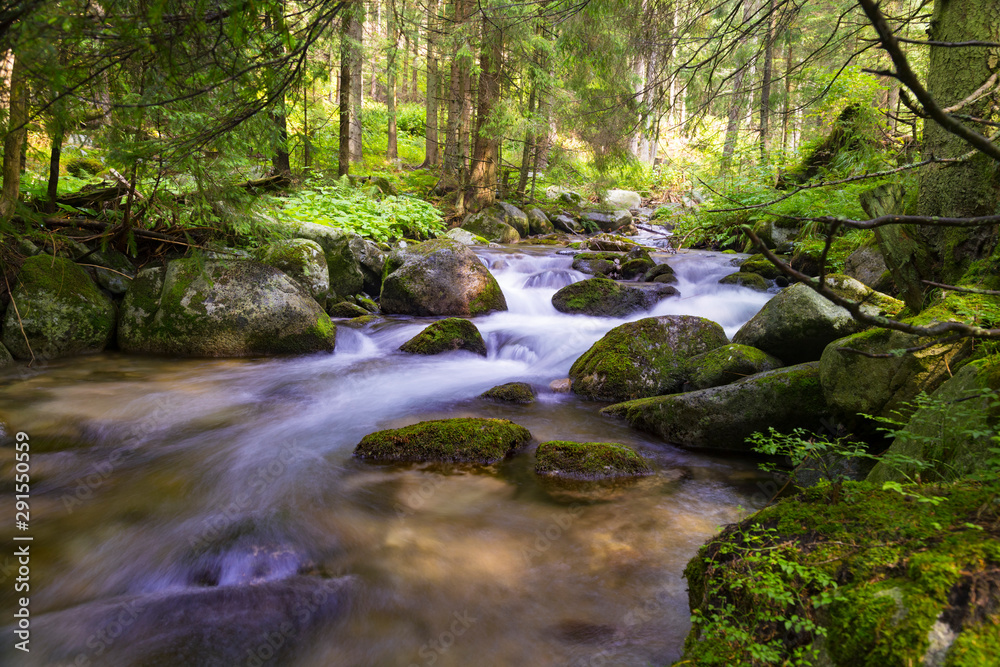 Beautiful nature - forest mountain river. Slovakia