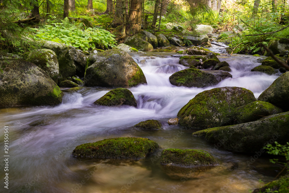 Beautiful nature - forest mountain river. Slovakia