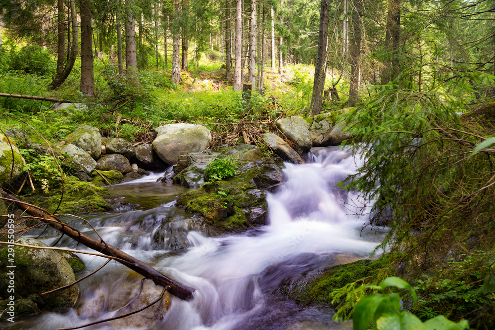 Beautiful nature - forest mountain river. Slovakia