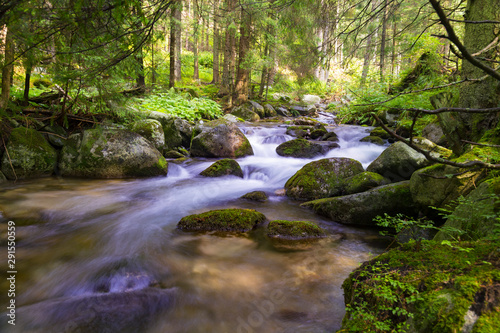 Beautiful nature - forest mountain river. Slovakia