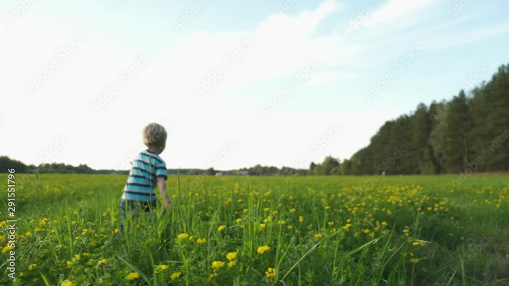 Cute toddler boy playing on blooming field with yellow flowers. Summer vacation on nature. Cute toddler boy playing on blooming field with yellow flowers. Summer vacation on nature.
