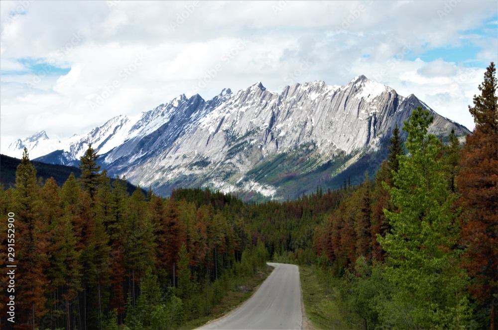 Scenic drive in the Canadian Rockies