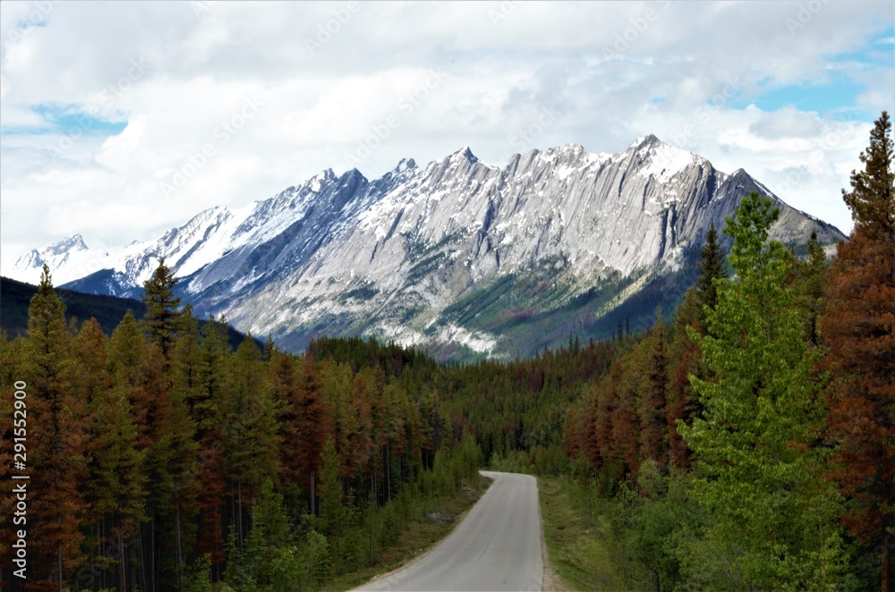 Fototapeta premium Scenic drive in the Canadian Rockies