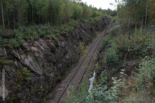 old railway in the forest