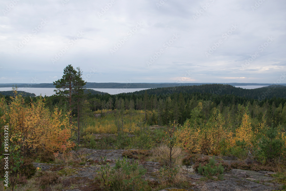view in the mountains on a boreal forest view in the mountains on a boreal forest