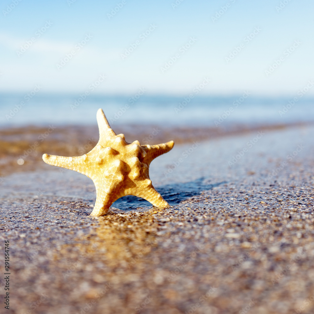 Summer vacation backgrounds with sea surface, lovely sand and water line Summer vacation backgrounds with sea surface, lovely sand and water line