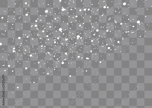 Snowfall, snowflakes in different shapes and forms. Snowflakes, snow background. Christmas snow for the new year.