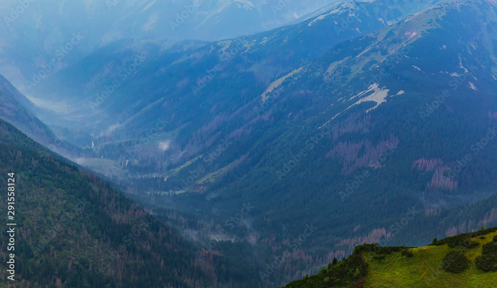 Fototapeta premium Mountain Valley in Tatra Mountains