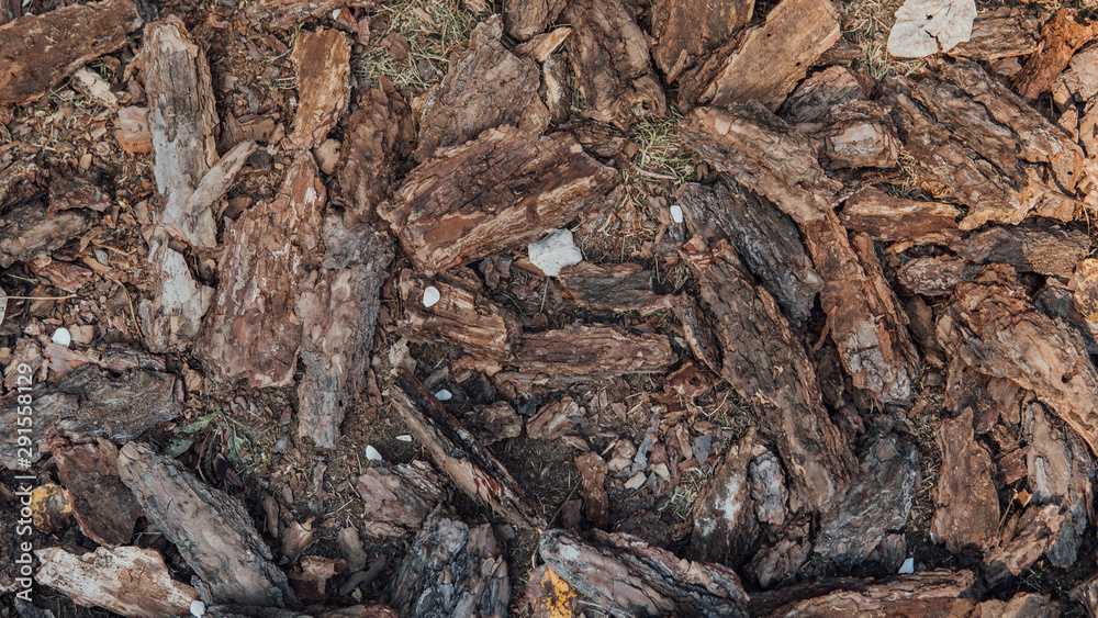 wood texture, brown background of vegetation in natural light. Kara wood wood texture, brown background of vegetation in natural light. Kara wood