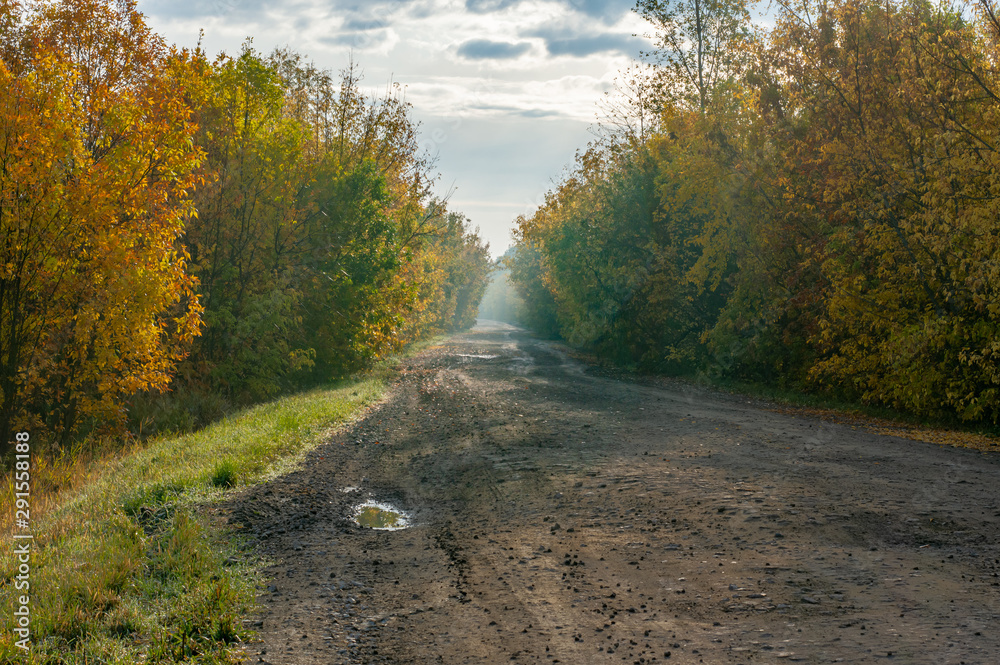 Landscape old dirt road in the fall