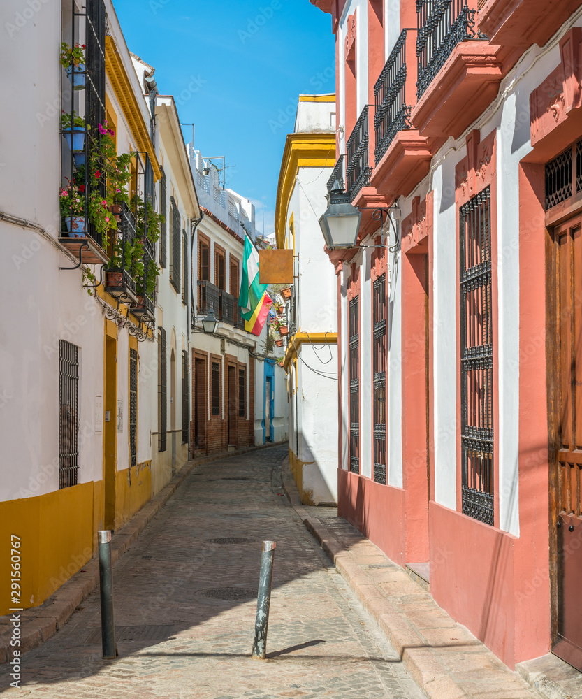 Scenic sight in the picturesque Cordoba jewish quarter. Andalusia, Spain.