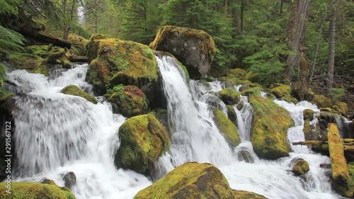 Water rushing over mossy boulders below Watson Falls in the Oregon Cascade mountains