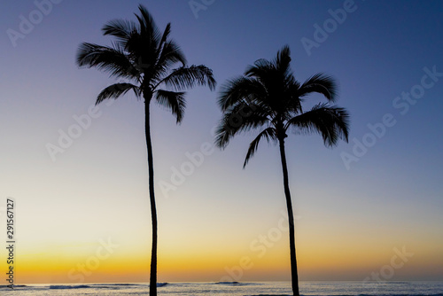 Silhoutte of palm trees at sunset on a beach