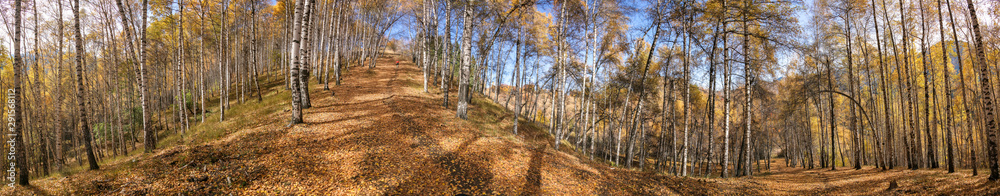 Obraz premium Allphotokz Kok Zhailau 20081009 9955 5D