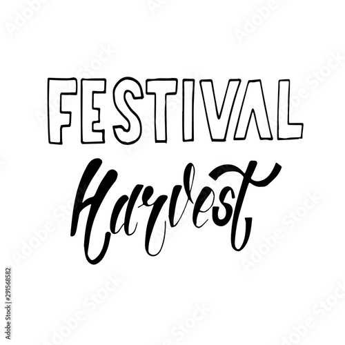 Hand sketched autumn lettering Harvest Festival. Modern brush calligraphy. Handwritten vector illustration isolated on white background for cards, posters, banners, logo, tags.