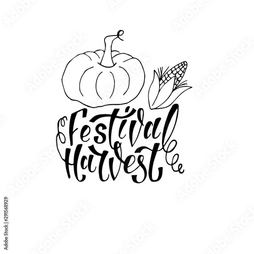 Hand autumn lettering Harvest Festival with pumpkin and corn drawing. Modern brush calligraphy. Handwritten vector illustration isolated on white background for cards, posters, banners, logo, tags.