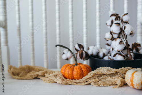 Pumpkin and Cotton Interior Design Decor photo