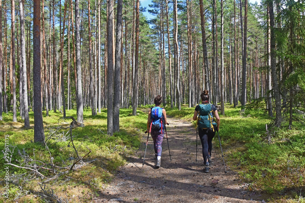 Obraz premium Two Women With Backpacks Trekking On Forest Path. They Enjoy Peaceful Hiking Through The Forest Path