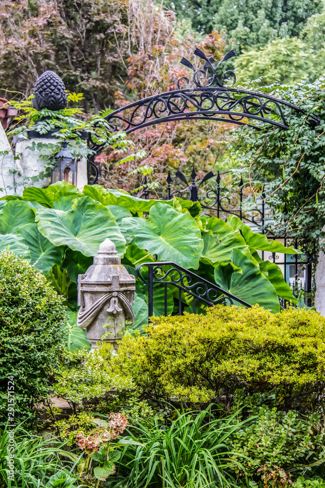 Beautiful wild overgrown ornate wrought iron fence and gate with vines ...
