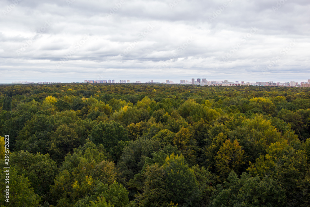 city behind the forest from bird's eye view