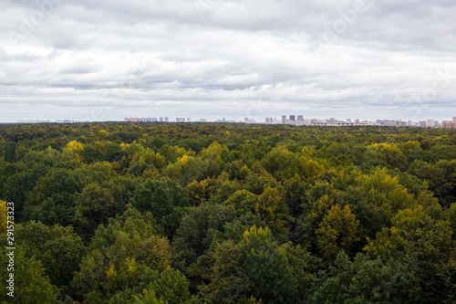 city behind the forest from bird's eye view
