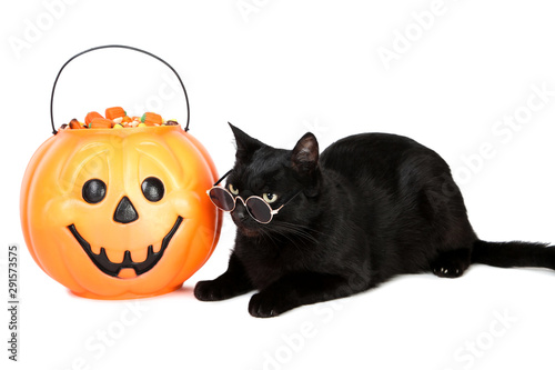 Black cat with candies in halloween bucket on white background © 5second