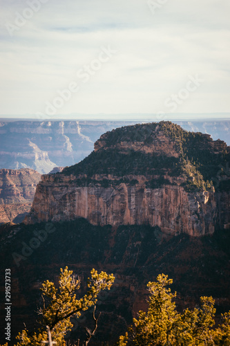 The Grand Canyon