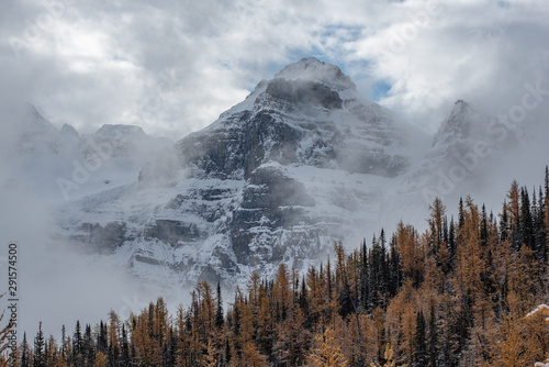 Hiking in Larch Valley with a fresh coat of snow, Banff National Park, Alberta, Canada