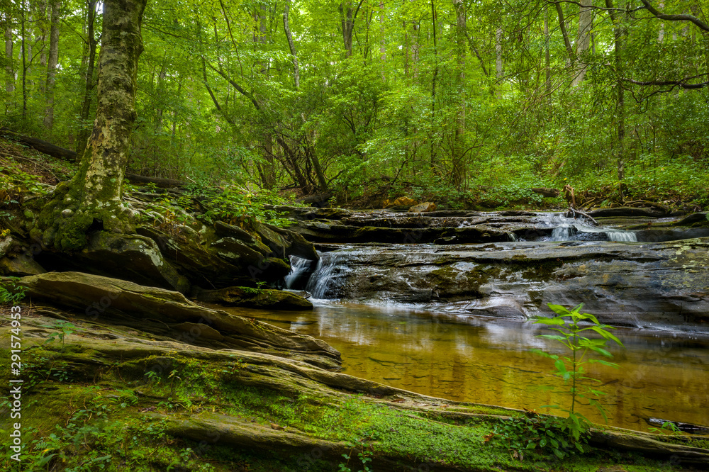 Fototapeta premium Summer view of a forest waterfall
