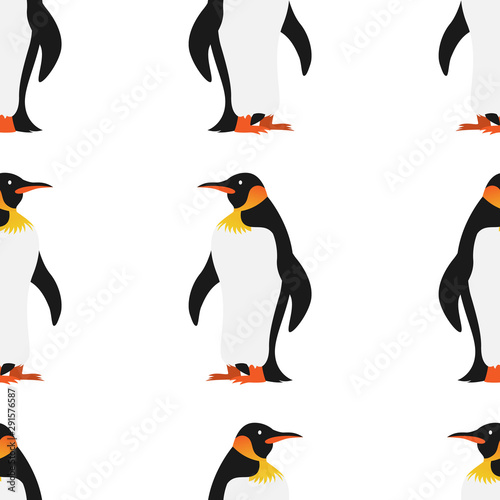 Emperor Penguin Bird from Antarctica walking seamless pattern Cartoon Vector