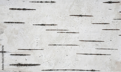 Gray background with horizontal stripes based on the texture of the birch bark