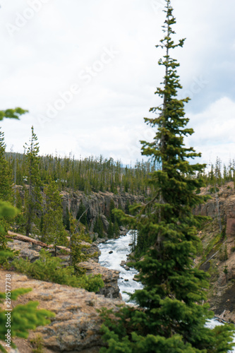 Yellowstone National Park