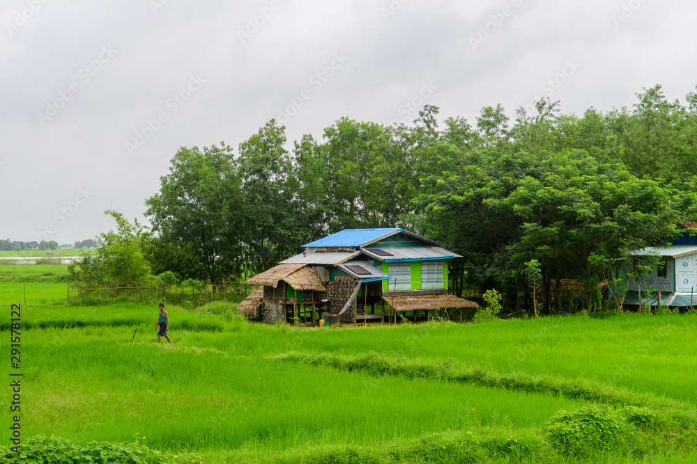 countryside lifestyle at myanmar village